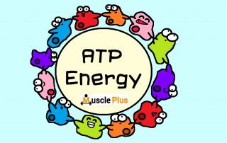 ATP یا مولکول انرژی