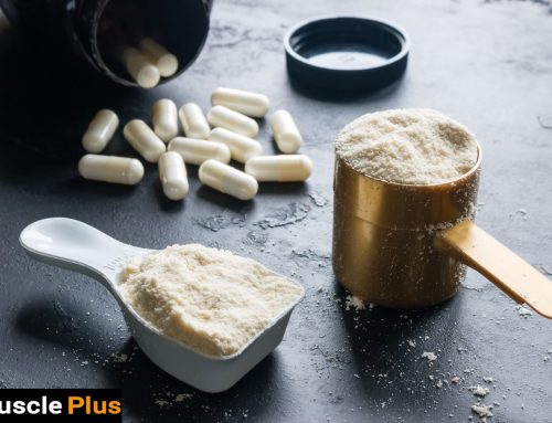 آیا تفاوتی بین پروتئین وی و آمینو اسید وجود دارد؟