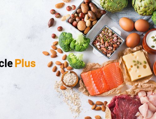 مقایسه انواع پروتئین (سویا-آلبومین-کازئین)