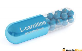 آیا الکارنتین چربی سوز است واقعا؟
